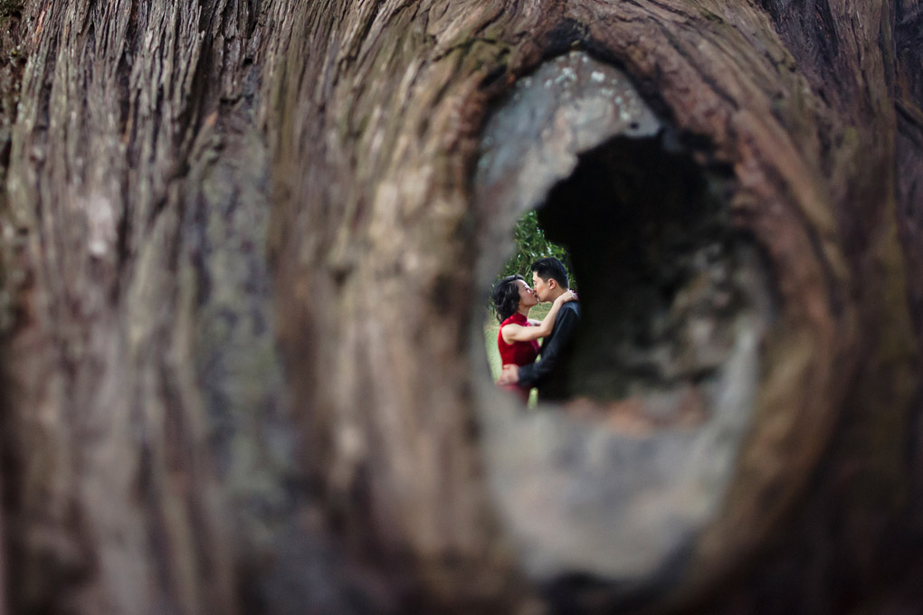 Pre-Wedding of Ren Yi and Yubing